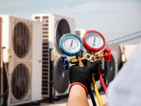 AC Service 2 billfish