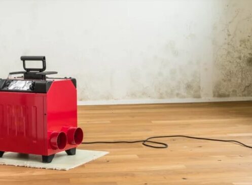 Dehumidifier service 1