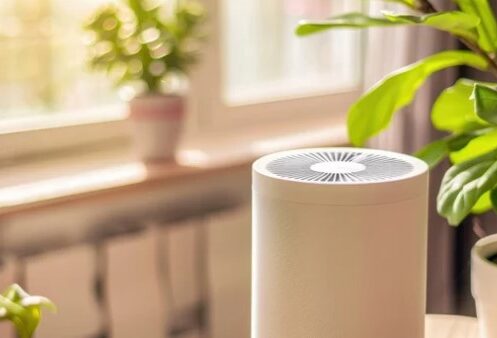 Dehumidifier service 2