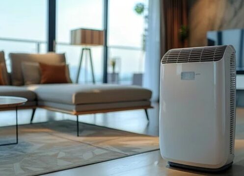 Dehumidifier service 3